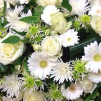 coloris blanc