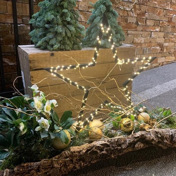 Etoile de Noël ANR