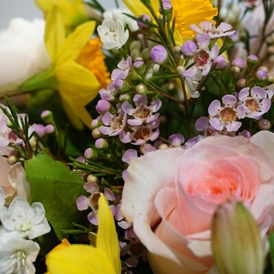 Bouquet fête des grands-mères mamie gato