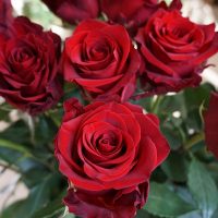 Rose à l'unité