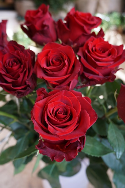 Bouquet de 11 roses - A Nos Racines