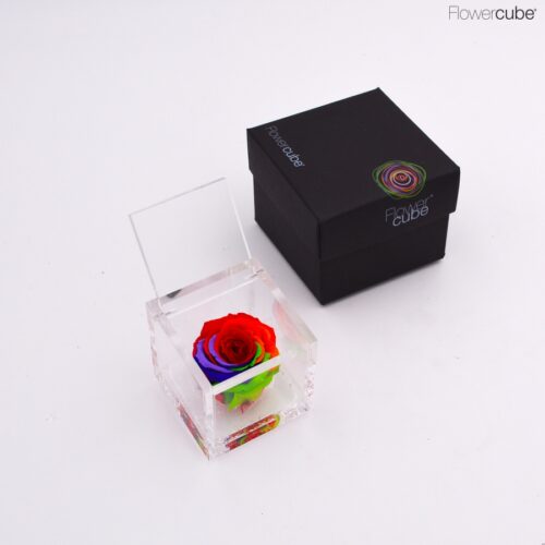 Flowercube 6x6 spéciale édition couleur Arc-en-ciel