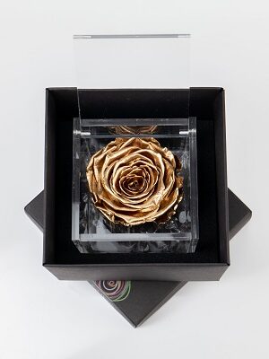 Flowercube Rosa Gold 8x8