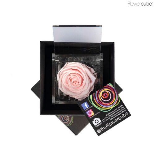 Flowercube spéciale édition Rosa 8x8 Rose pastel