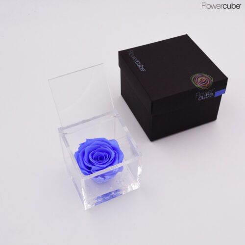 Rose bleu clair dans son cube en plexiglass transparent 8x8.