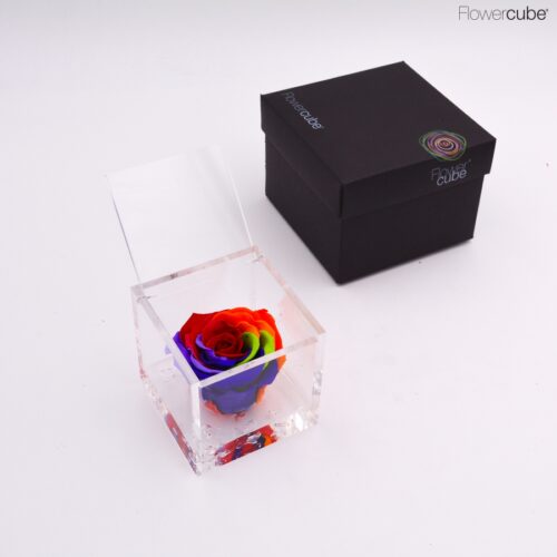 Flowercube 8x8 spéciale édition couleur Arc-en-ciel