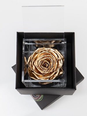 Flowercube Rosa Gold 10x10