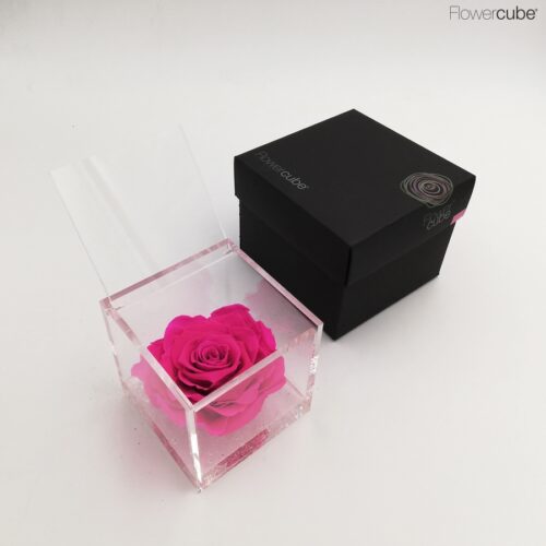 Flowercube spéciale édition Rosa 10x10 Fuchsia