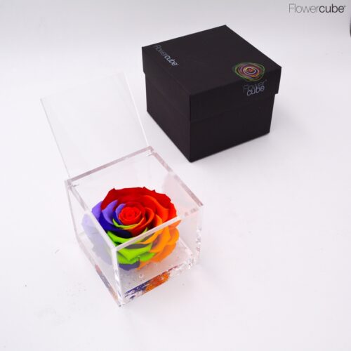 Flowercube spéciale édition Rosa couleur Arc-en-ciel 10x10