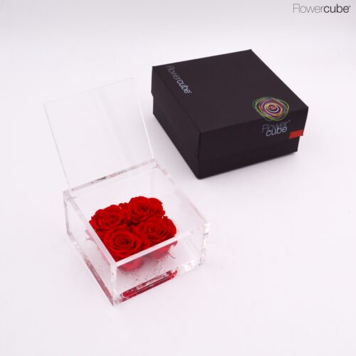 Flowercube 4 roses rouges 10x10x6