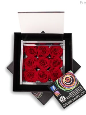 Flowercube 9 roses rouges 10x10x6