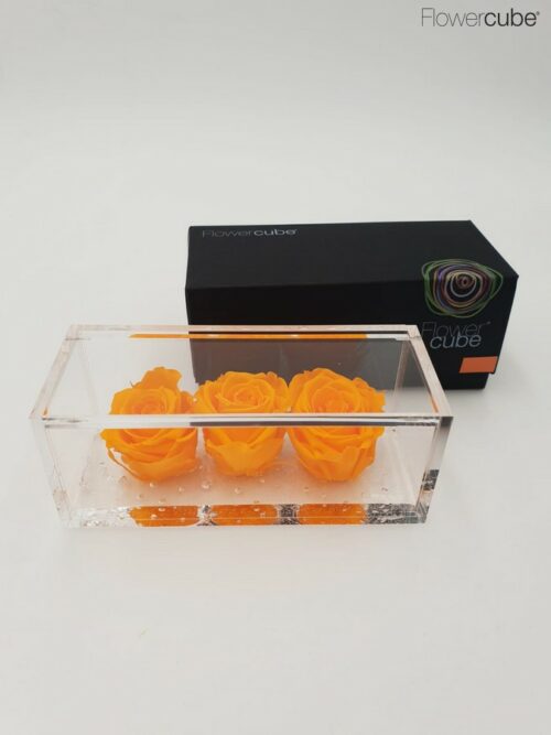 3 roses oranges dans leur cube en plexiglass transparent 15x6x6.