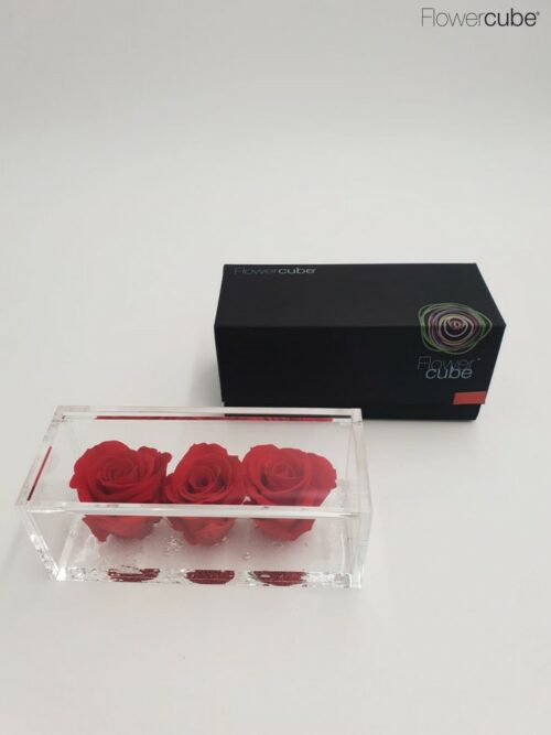 3 roses rouges dans leur cube en plexiglass transparent 15x6x6.