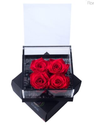 Flowercube 4 roses rouges 15x15x8
