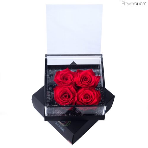 Flowercube 4 roses rouges 15x15x8