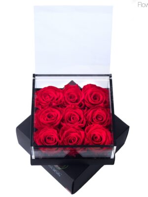 Flowercube 9 roses rouges 15x15x8