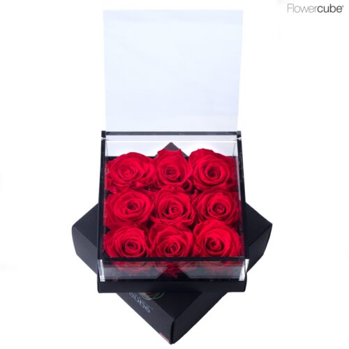 Flowercube 9 roses rouges 15x15x8