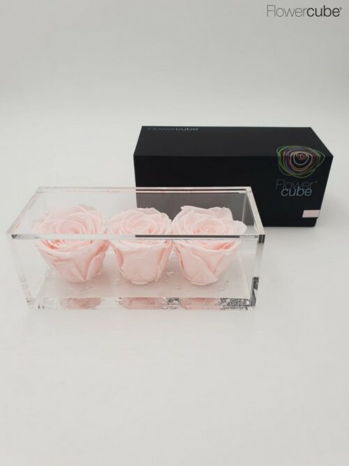3 roses rose pastel dans leur cube en plexiglass transparent 15x6x6.
