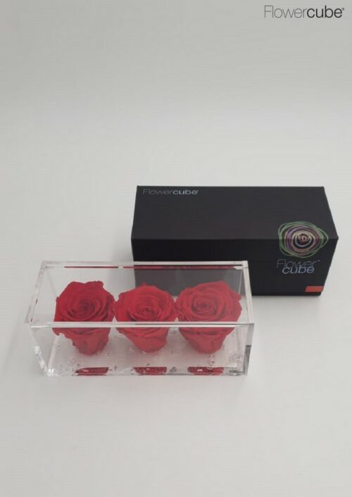 3 roses rouge dans leur cube en plexiglass transparent 20x8x8.
