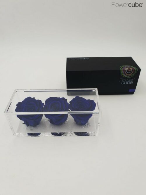 3 roses bleu dans leur cube en plexiglass transparent 20x8x8.
