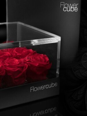 Flowercube platinum 9 roses rouges 180 x 180 x h 110