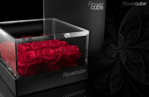 Flowercube platinum 9 roses rouges 180 x 180 x h 110