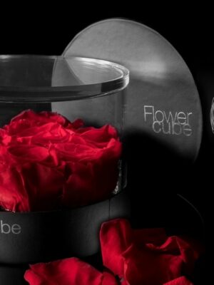 Flowercube platinum cylinder 7 roses rouges d.150 x h 110