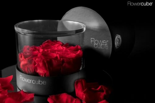 Flowercube platinum cylinder 7 roses rouges d.150 x h 110