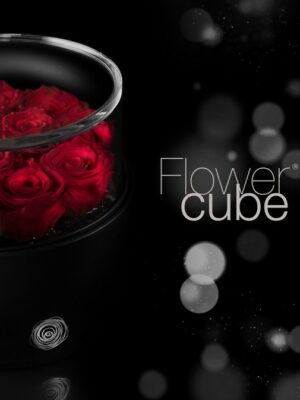 Flowercube platinum cylinder 12 roses rouges d. 200 x h 110