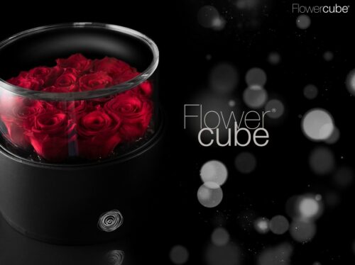 Flowercube platinum cylinder 12 roses rouges d. 200 x h 110