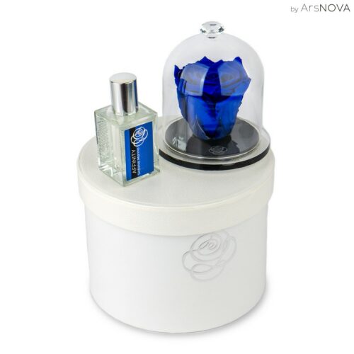 Boite cadeau DIAMOND ENCHANTED ROSE 10 cm - AFFINITY - Bleu