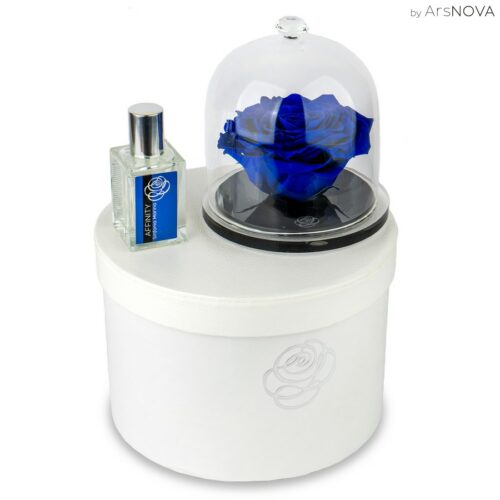 Boite cadeau DIAMOND ENCHANTED ROSE 14 cm - AFFINITY - Bleu