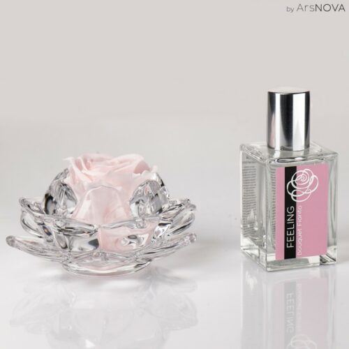 Mini rose parfumée de couleur rose sur support en verre et son parfum d'ambiance 