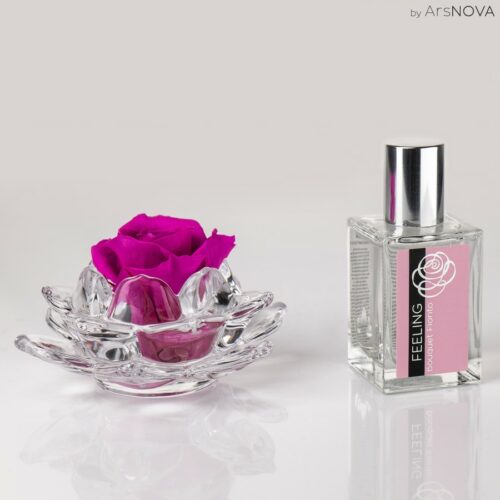 Mini rose parfumée de couleur fuchsia sur support en verre et son parfum d'ambiance 
