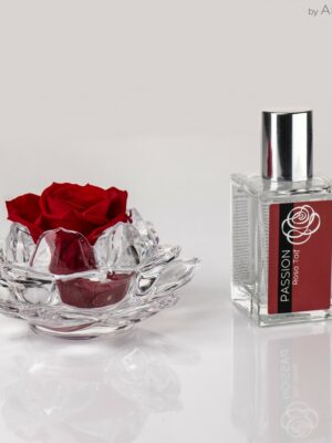 Mini rose parfumé de couleur rouge sur support en verre even et son parfum d’ambiance 