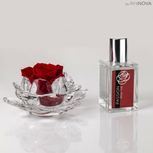 Mini rose parfumé de couleur rouge sur support en verre even et son parfum d’ambiance 