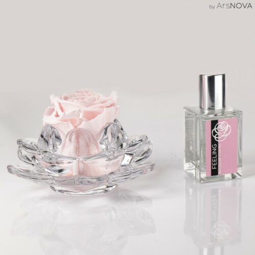 Grande rose parfumée de couleur rose sur support en verre even et son parfum d’ambiance 
