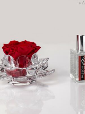 Grande rose parfumée de couleur rouge sur support en verre even et son parfum d’ambiance 