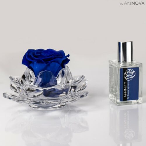 Grande rose parfumée de couleur bleu sur support en verre even et son parfum d’ambiance 