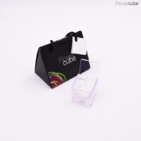 Rose blanche dans son mini cube en plexiglass transparent 4,5x4,5.