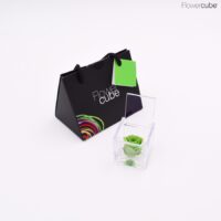 Rose verte dans son mini cube en plexiglass transparent 4,5x4,5.