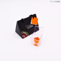 Rose orange dans son mini cube en plexiglass transparent 4,5x4,5.