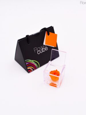 Rose orange dans son mini cube en plexiglass transparent 4,5x4,5.