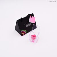 Rose rose dans son mini cube en plexiglass transparent 4,5x4,5.