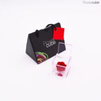 Rose rouge dans son mini cube en plexiglass transparent 4,5x4,5.