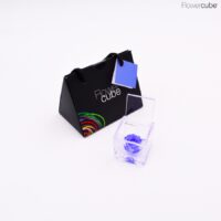 Rose bleu clair dans son mini cube en plexiglass transparent 4,5x4,5.