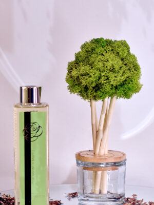 Petit arbre diffuseur vert clair avec son parfum d’ambiance "Thé vert et menthe"