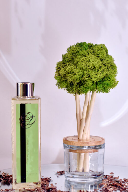 Petit arbre diffuseur vert clair avec son parfum d’ambiance 