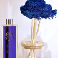 Grand arbre diffuseur bleu avec son parfum d’ambiance "Symphonie marine"