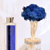 Petit arbre diffuseur bleu avec son parfum d’ambiance "Symphonie marine"
